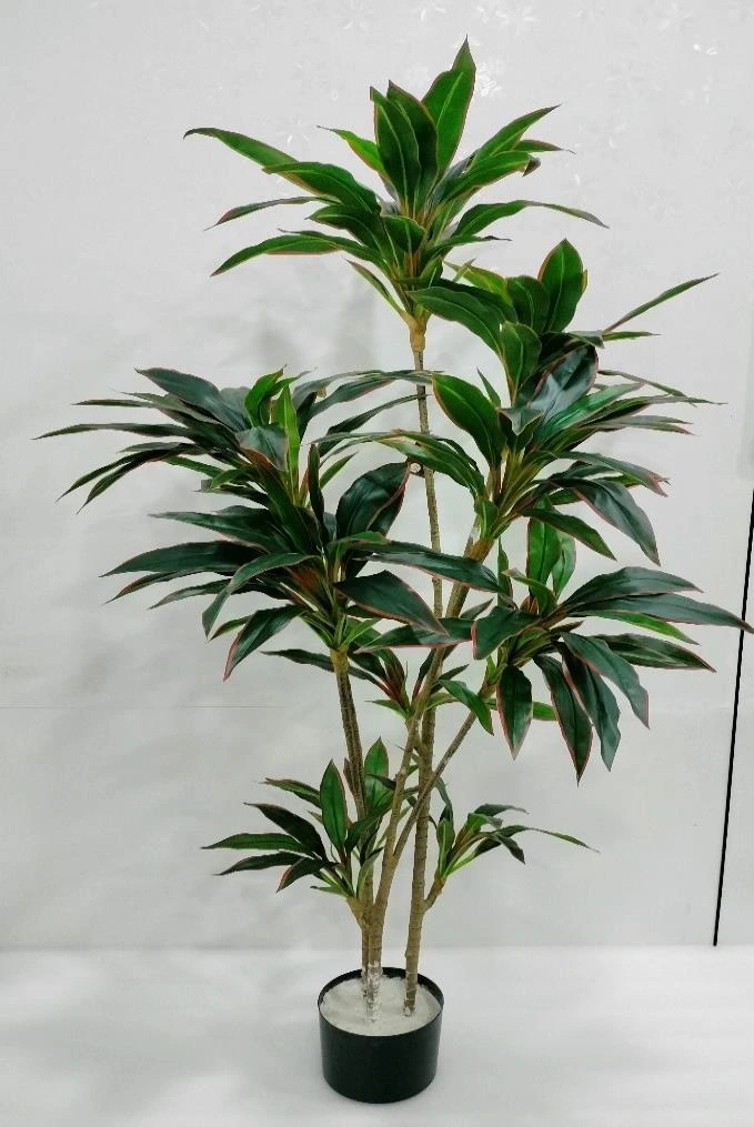 Dracaena Plant x10 Without Base 160cm